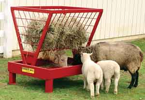 Sheep feeder